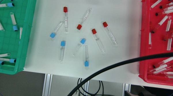 Test tubes being sorted into coloured racks
